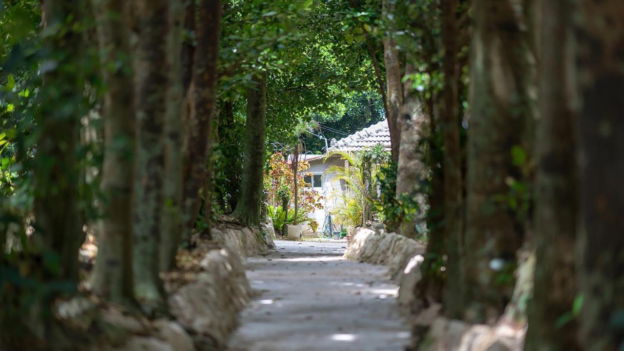 La Ohana～瀬底島～（2022年open） * Okinawa